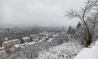 Au început plantările de arbori în cartierul Între lacuri