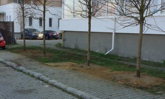 Au început plantările de arbori în cartierul Între lacuri