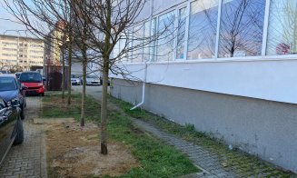 Au început plantările de arbori în cartierul Între lacuri