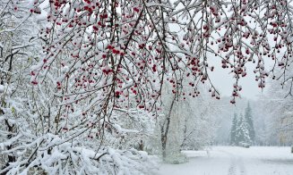 Prognoza pe decembrie. Vom avea zăpadă de Crăciun?