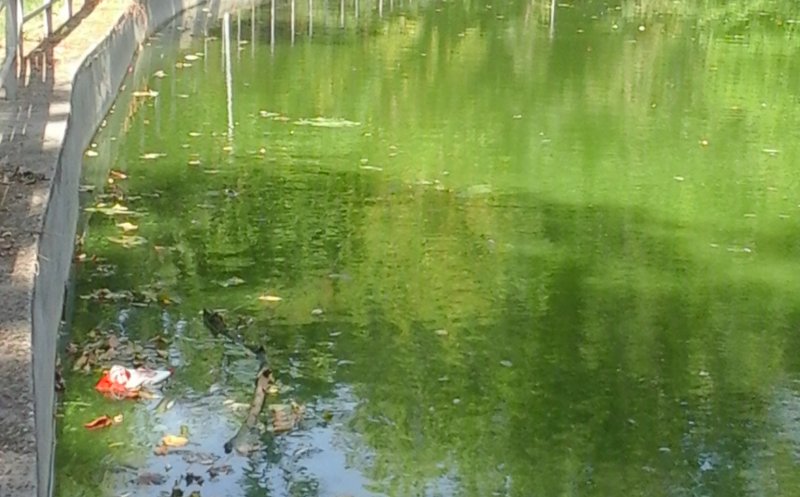 Lacul din parcul Gherla, vechi de 160 de ani, este oferit spre închiriere de Primărie. Povestea plină de farmec a luciului de apă