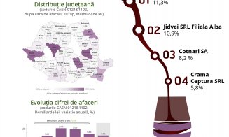 Clujul face figurație pe piața vinului. Care este topul național
