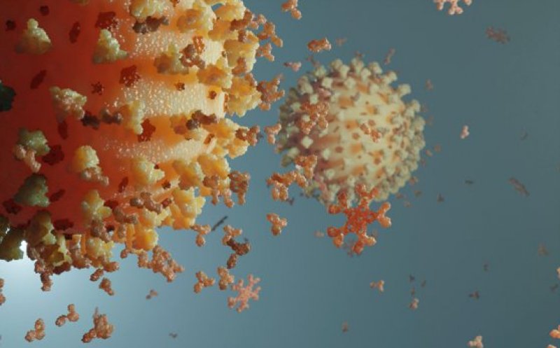 Noua variantă de coronavirus: Şapte întrebări frecvente despre tulpina SARS-CoV-2 depistată în Marea Britanie