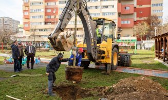 190 milioane de lei pentru spațiile verzi și locurile de joacă din Cluj-Napoca