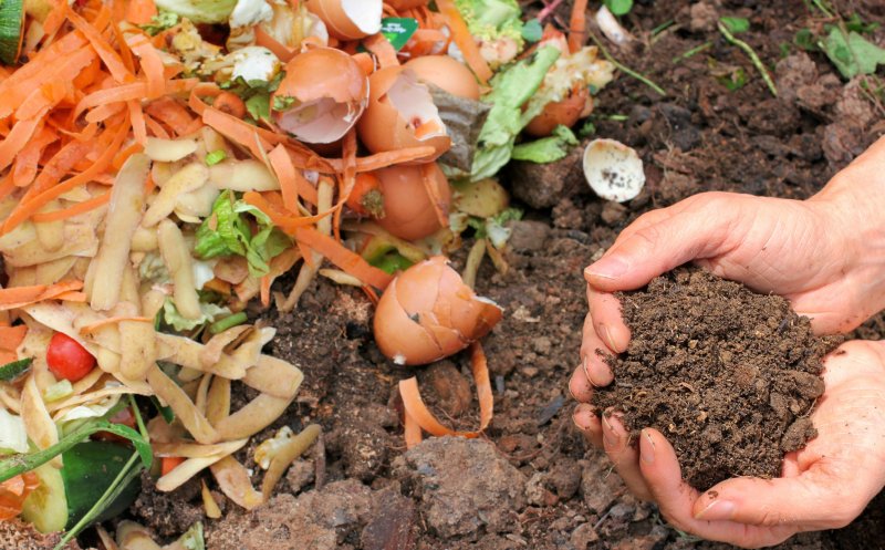 A intrat în vigoare legea compostului. Resturile alimentare trebuie separate de vegetale