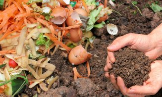 A intrat în vigoare legea compostului. Resturile alimentare trebuie separate de vegetale