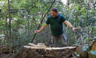 Fost senator de Cluj, chemat să dea cu subsemnatul la DNA în legătură cu tăierile de păduri