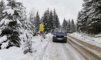 Mergi la Buscat? NU îţi mai poţi lăsa maşina pe marginea drumului