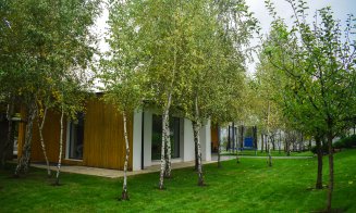 Cum arată vila de 1 milion de euro, scoasă la vânzare în Cluj: livadă cu 200 de pomi, cramă, ciubăr şi cinema