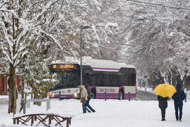 Abonamente gratuite și cu reducere pentru studenții de la Artă și Design. Actele necesare