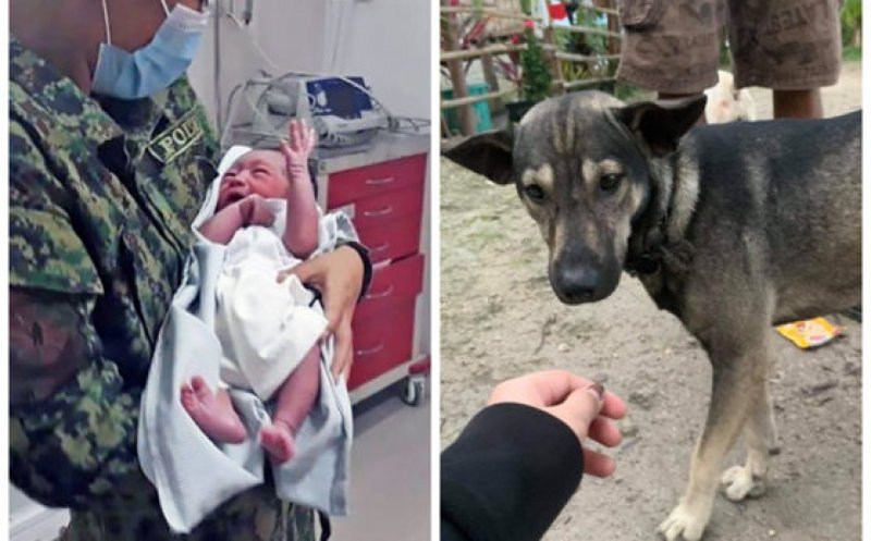 Poveste lacrimogenă! Un bebeluş abandonat într-un depozit de deşeuri a fost salvat de un câine