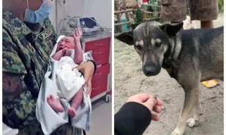 Poveste lacrimogenă! Un bebeluş abandonat într-un depozit de deşeuri a fost salvat de un câine
