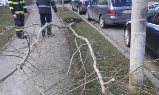 Vântul puternic face ravagii la Cluj. Acoperișuri rupte în Centru și copaci smulși din rădăcină pe Bună Ziua