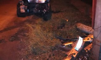 Dezastru la Gherla, după ce un șofer imprudent a rupt un copac și s-a izbit de un stâlp de electricitate