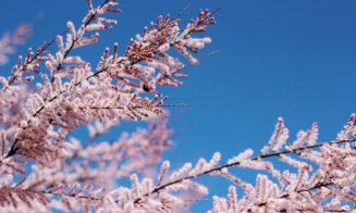 Frig la final de martie, Martie începe cu temperaturi uşor mai mari decât cele specifice perioadei