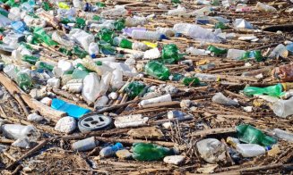 Dezastru ecologic pe malul Arieșului. Salubrizarea inițială, fără succes
