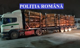 Camion cu lemne furate, oprit de polițiștii clujeni la barajul de la Tarnița