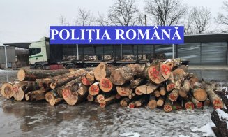 Camion cu lemne furate, oprit de polițiștii clujeni la barajul de la Tarnița