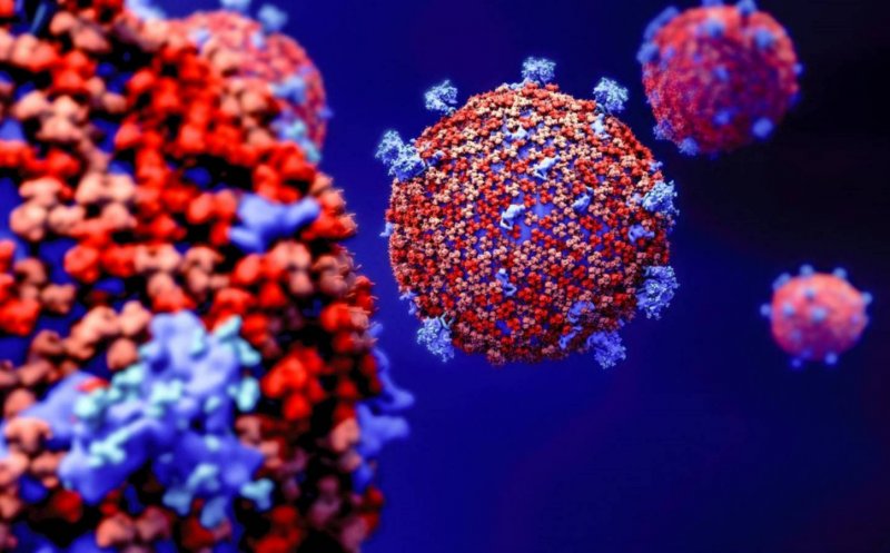 De ce au apărut noi tulpini de coronavirus și cum se multiplică virusul?