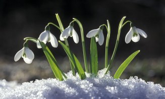 Vreme foarte caldă la început de martie, fără precipitații