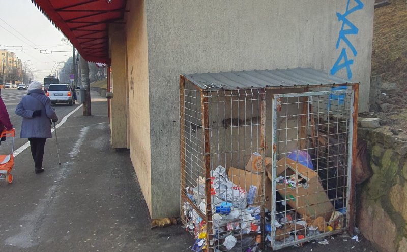 Şobolani într-o staţie de autobuz din Cluj-Napoca. În apropiere, gunoaie neridicate de săptămâni