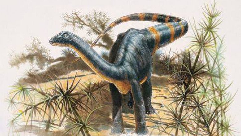 Sit al dinozaurilor din Transilvania, regăsit după 100 de ani