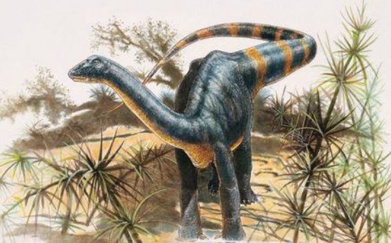 Sit al dinozaurilor din Transilvania, regăsit după 100 de ani