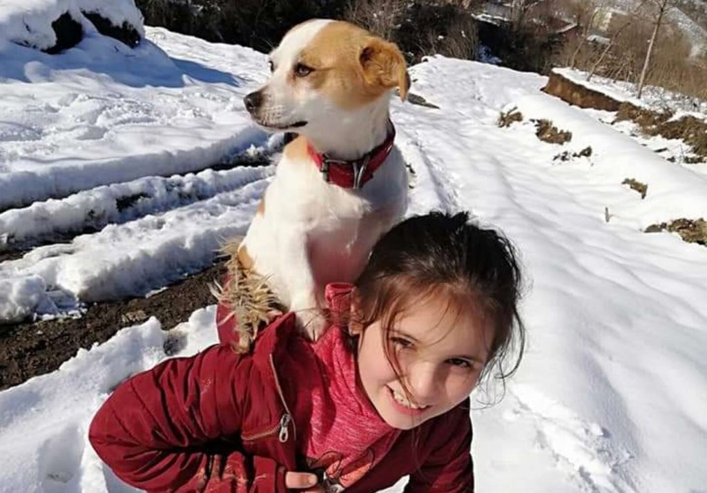 Gesturi care schimbă lumea: Şi-a cărat căţeluşul în spate doi kilometri, prin zăpadă, pentru a ajunge cu el la veterinar