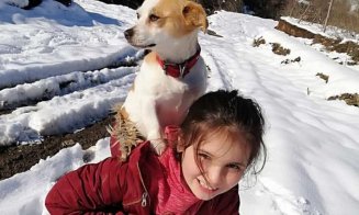 Gesturi care schimbă lumea: Şi-a cărat căţeluşul în spate doi kilometri, prin zăpadă, pentru a ajunge cu el la veterinar