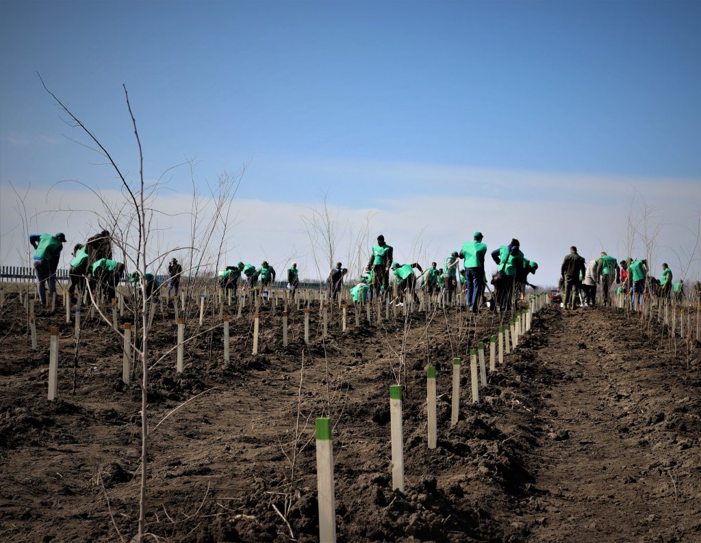 Clujul va fi înverzit pe 219 hectare în această primăvară