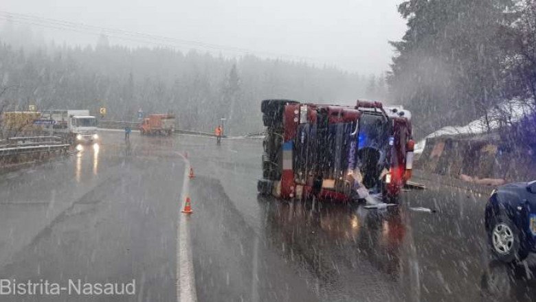 Zeci de porci au murit striviți, după ce TIR-ul care îi transporta s-a RĂSTURNAT! Care este starea șoferului