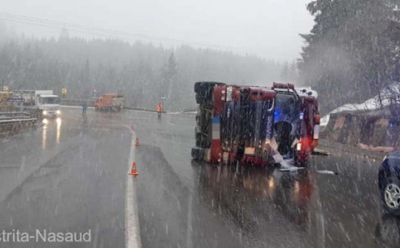 Zeci de porci au murit striviți, după ce TIR-ul care îi transporta s-a RĂSTURNAT! Care este starea șoferului