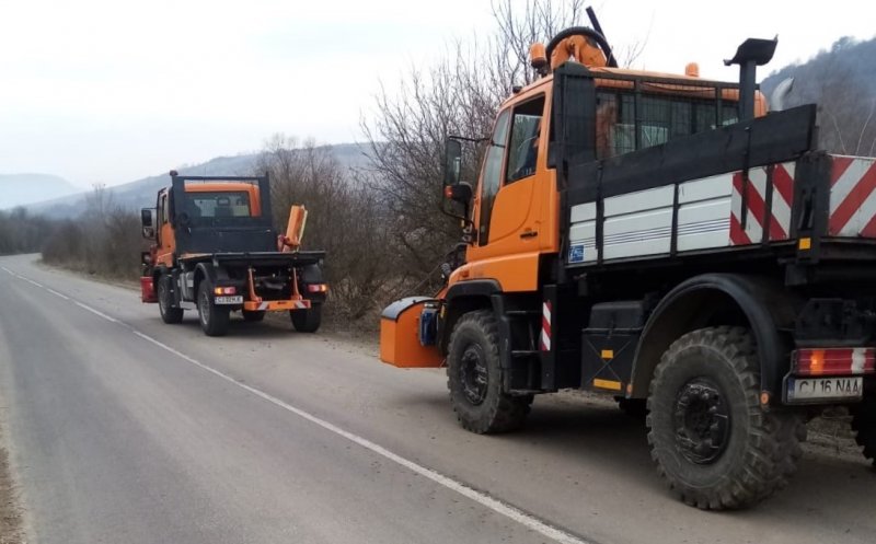 Se taie copacii care scad vizibilitatea în trafic pe drumurile județene din Cluj