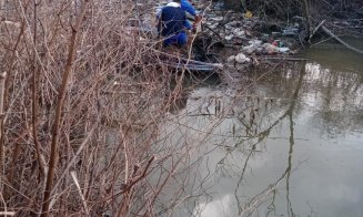 Angajații Apelor Române au curățat lacul Gilău și Someșul