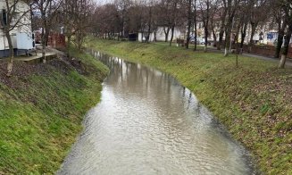 Angajații Apelor Române au curățat lacul Gilău și Someșul