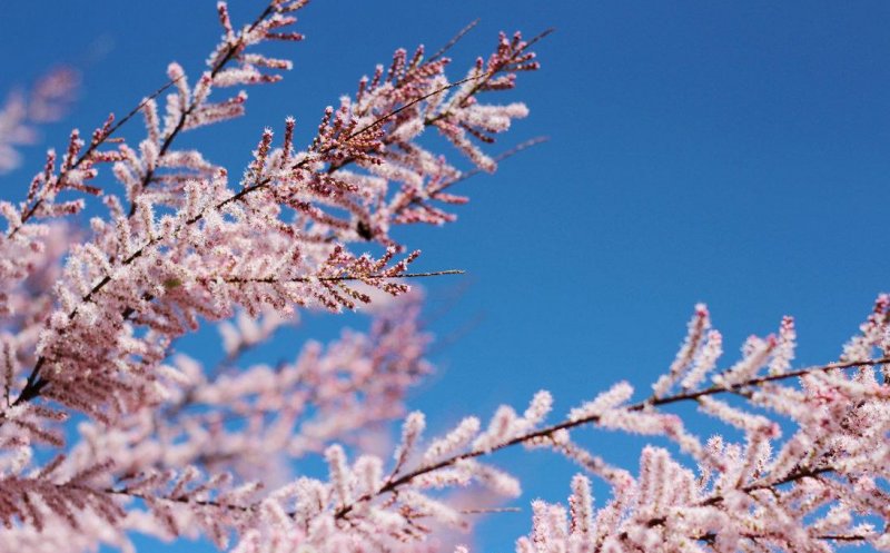 Vremea se încălzește. Prognoza meteo până la finalul lunii aprilie