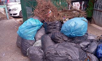 Municipalitatea plantează copaci în grădinile din cartiere, dar îi lasă pe clujeni cu gunoiul vegetal în drum cu săptămânile