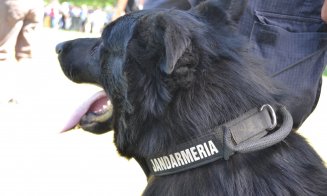 Jandarmii clujeni se despart de doi colegi și prieteni adevărați: Max și Eja ies la pensie