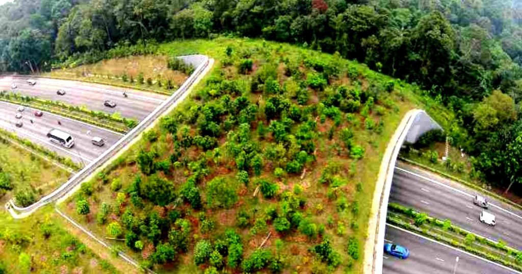 Autostrada verde Transilvania. Cum va fi cosmetizată pentru banii europeni