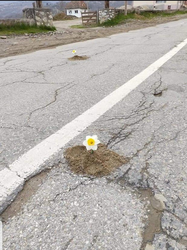 Moții protestează la Cluj. „Batjocura la care suntem sistematic și cinic supuși trebuie să înceteze. Ne-a ajuns!”