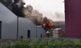 A luat foc Parcul Industrial Dej