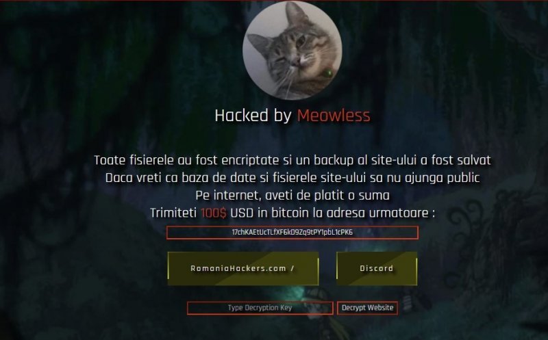 Site-ul Consiliului Județean Cluj, spart de hackeri, este suspendat intenționat. S-a depus plângere la DIICOT