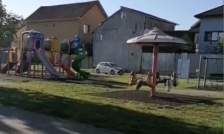 VIDEO: Șofer filmat plimbându-se cu mașina printr-un parc de joacă din Cluj-Napoca