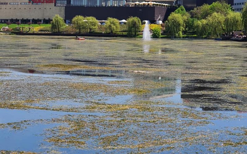 Lacul din Gheorgheni s-a transformat în mlaştină