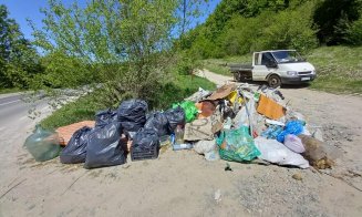 Acțiune de ecologizare în zona Făget