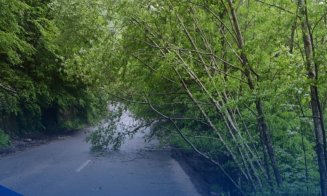 Prăpăd pe un drum județean din Cluj. S-a intervenit de urgență