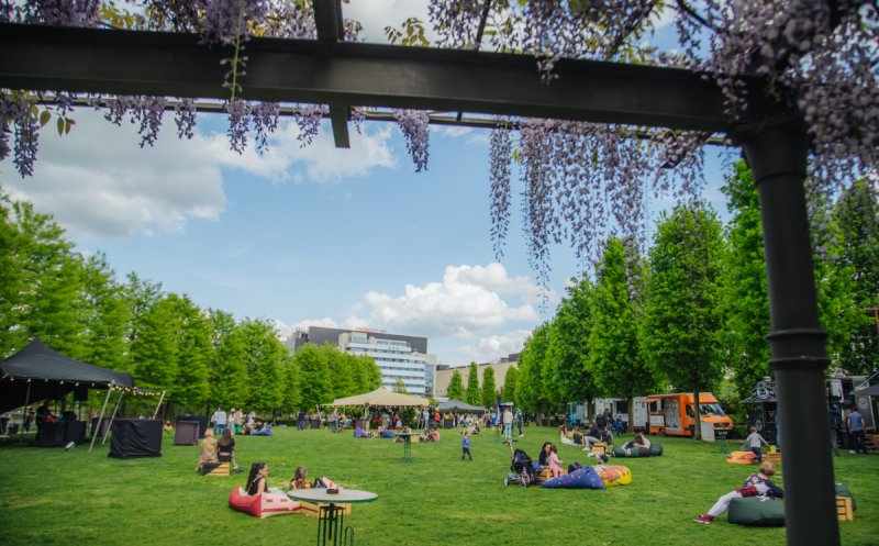 Sărbătorește Ziua Copilului cu activități inedite la Street Food Park și Kids Day, la Iulius Mall Cluj!