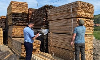Controale la transportatorii de lemne din Cluj. Amenzi de mii de lei