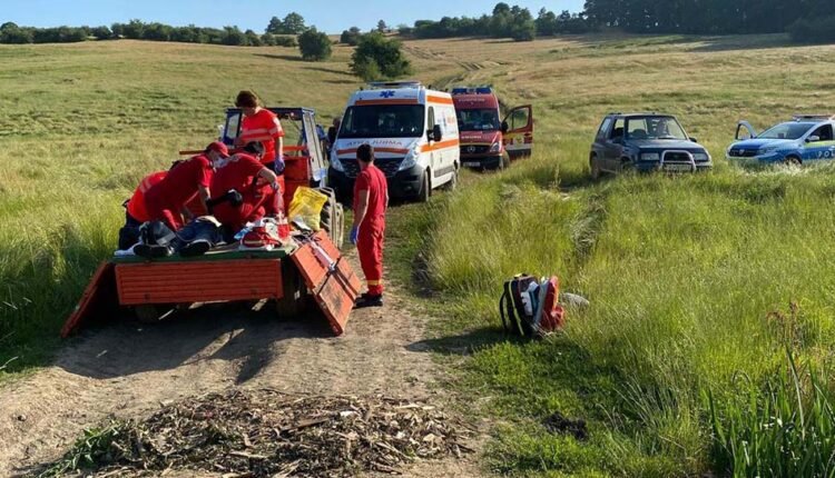 ACCIDENT FORESTIER: A murit strivit de un copac care s-a prăbuşit peste el