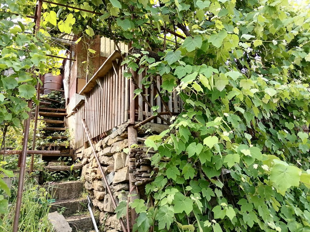 Cel mai cel garaj din Cluj: "Un neamț nu ar putea face asta, un francez nu, dar un român da!"
